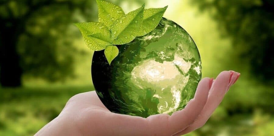 O que é logística verde e como implementá-la em sua empresa