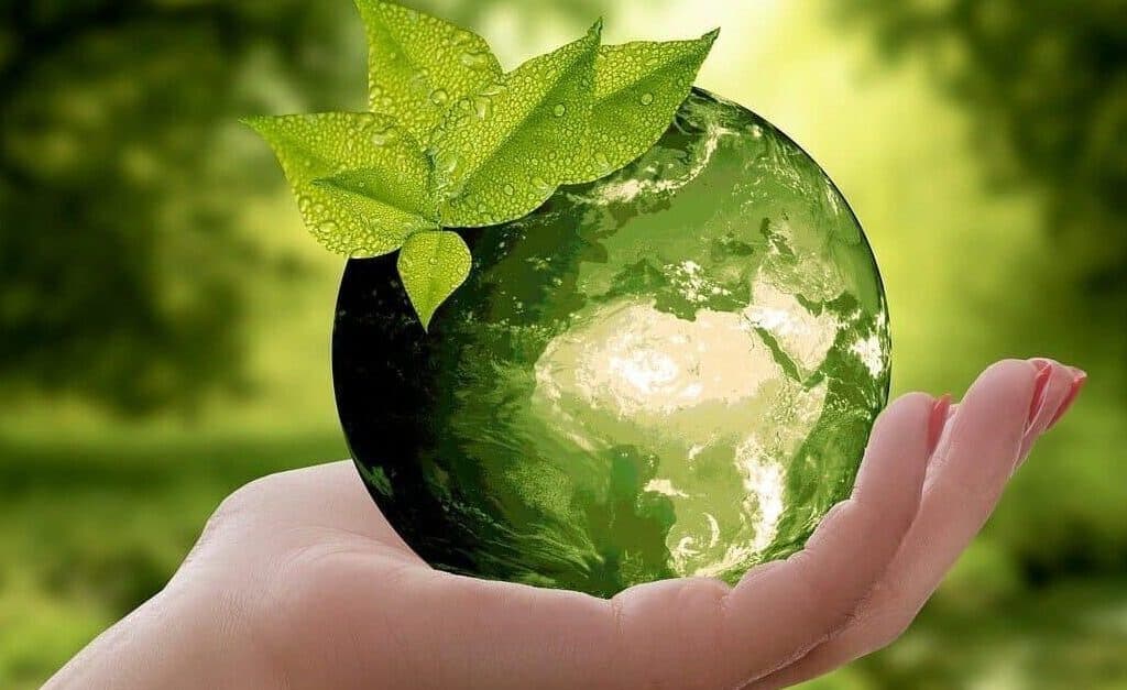 Qué es la logística verde y cómo Implementarla en tu empresa